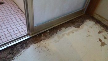水漏れによる床の補修工事